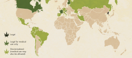 The World’s Most Marijuana Friendly Countries (INFOGRAPHIC) 2013_08_WorldWeed_1 (1)
