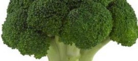 broccoli