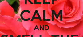 Whit Wisdom: Smell The Roses! keep-calm-and-smell-the-roses-23