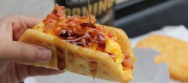 taco25f-2-web