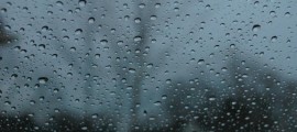 IMG_5574