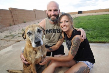 ‘Dogs Of War:’ New A&E Reality Show Spotlights Service Dogs For Combat Veterans With PTSD